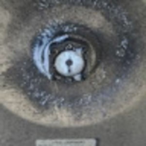 Meet your Posher, Harry